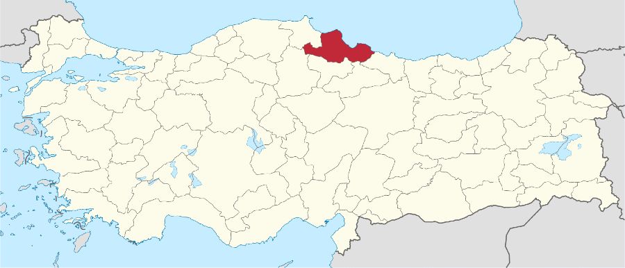 سامسون ترکیه